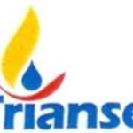 triansel logo