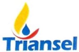 triansel logo